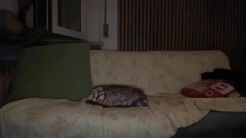 torofermo705033 online show from 10, 1, 2026