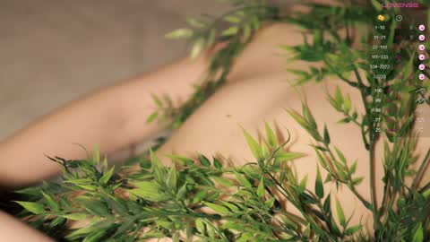 Toshi online show from 20, 1, 2025