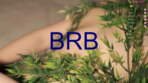 Toshi online show from 20, 1, 2025