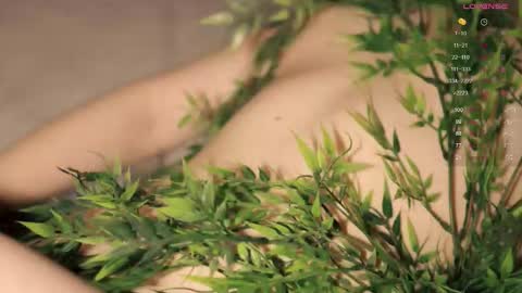 Toshi online show from 19, 10, 2025