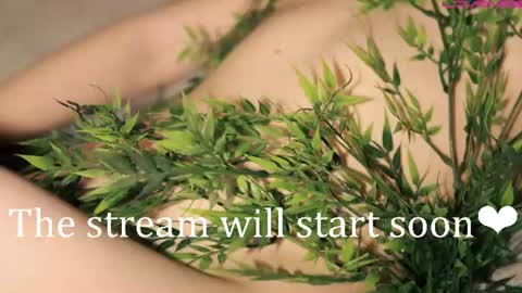 Snapshot of toshimori chatting on 29, 6, 2026 Toshi online show from 29, 6, 2026