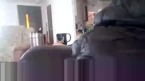 Jim online show from 3, 1, 2025