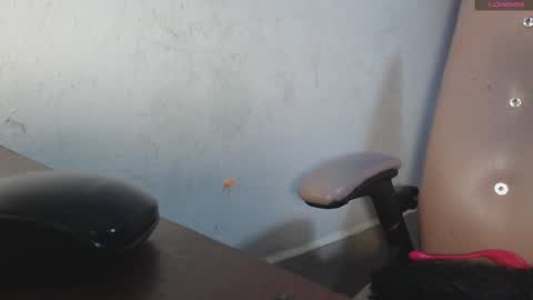 toxca69 online show from 10, 11, 2025