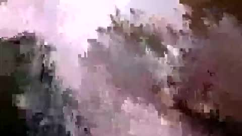 tr0069 online show from 5, 4, 2026