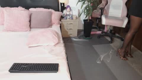 Traci online show from 19, 12, 2024