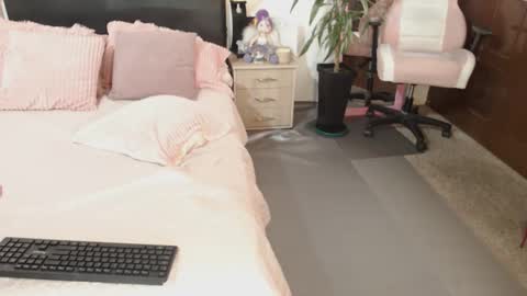 Traci online show from 22, 12, 2024