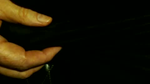 trailblazer1969 online show from 8, 10, 2025