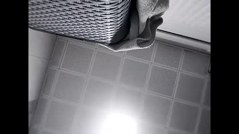 Snapshot of trapper727272 chatting on 24, 2, 2025 Big Head Cock online show from 24, 2, 2025