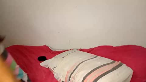 Snapshot of travisacal chatting on 18, 11, 2025 Ameli online show from 18, 11, 2025