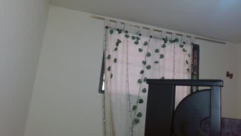 trebol_4 online show from 11, 7, 2026