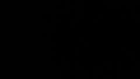 treeguyroc online show from 5, 3, 2026