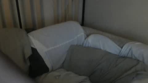 TreeHugger queer online show from 12, 10, 2025