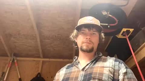 treeman817 online show from 11, 5, 2026