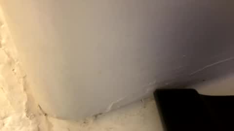Snapshot of trickydick6 chatting on 26, 4, 2026 trickydick6 online show from 26, 4, 2026