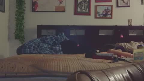 Snapshot of trinasvede chatting on 9, 3, 2025 Trina Tushy Deluxe online show from 9, 3, 2025