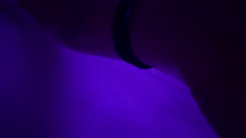 triplehero online show from 30, 12, 2024