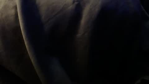 Snapshot of trmdstrong chatting on 3, 12, 2025 Trmdstrong online show from 3, 12, 2025