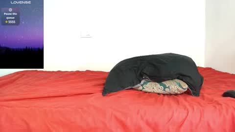 Snapshot of troy_walker7 chatting on 2, 3, 2025 sebas online show from 2, 3, 2025