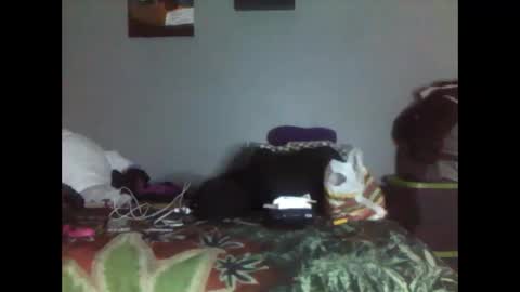 trublu2018 online show from 17, 1, 2026