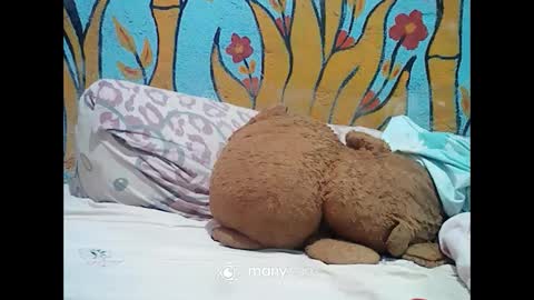 ts_cuumlover online show from 2, 12, 2024