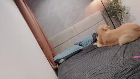 ts_danielahugecock_xxx online show from 22, 6, 2026