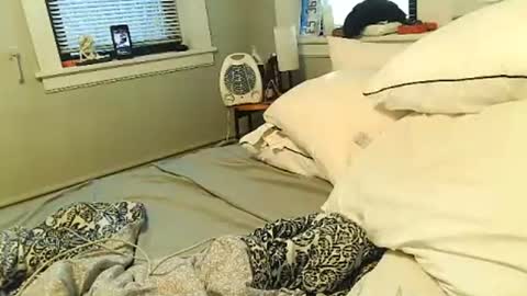 Amber White online show from 1, 2, 2026