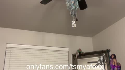 tsfoxx online show from 11, 12, 2024