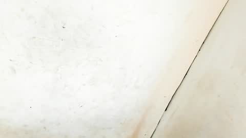 Snapshot of tsmanika chatting on 11, 1, 2025 MA NI KA online show from 11, 1, 2025