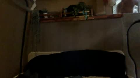 Snapshot of tuhands chatting on 9, 1, 2025 Tuhands online show from 9, 1, 2025