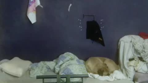 turkishtranswithsurgery online show from 12, 4, 2026