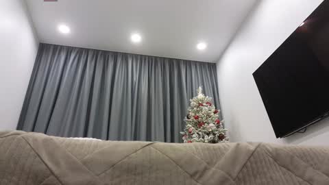 Snapshot of tutti_frutti_ chatting on 16, 12, 2024 Ariana online show from 16, 12, 2024