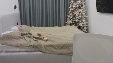 Snapshot of tutti_frutti_ chatting on 30, 12, 2024 Ariana online show from 30, 12, 2024