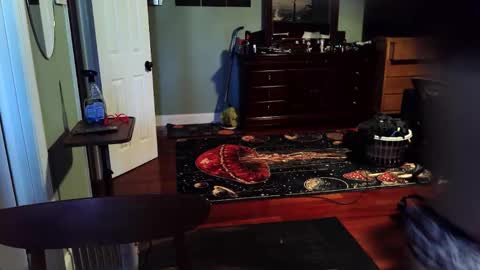 twerkyballs online show from 22, 12, 2025