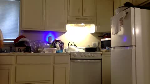 Snapshot of twinandlea chatting on 21, 12, 2025 Twin and Lea online show from 21, 12, 2025