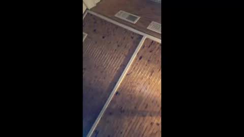 twistercouple3371 online show from 17, 3, 2026