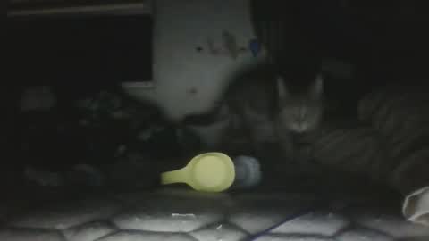 Snapshot of twonkydonk27 chatting on 13, 12, 2025 twonkydonk27 online show from 13, 12, 2025