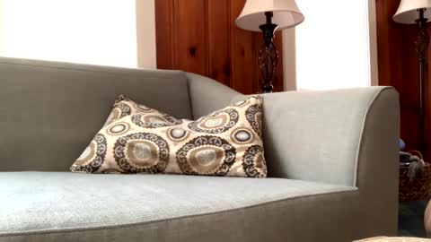 Tyler Sands online show from 11, 2, 2025