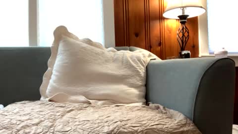 Tyler Sands online show from 16, 2, 2025