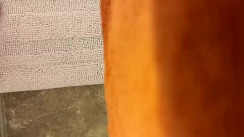 tymm4534 online show from 22, 4, 2026