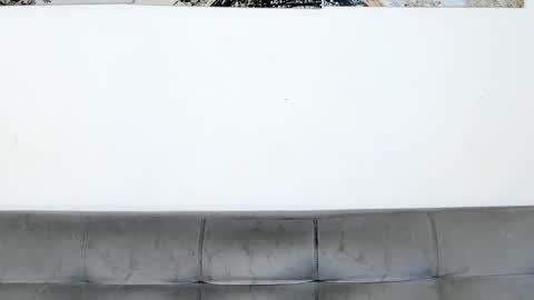 Dvid Rullers online show from 9, 1, 2026