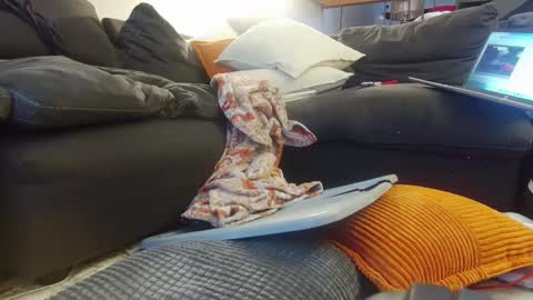 Snapshot of tysonjameson chatting on 20, 12, 2024 tysonjameson online show from 20, 12, 2024