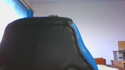 ulmeni4 online show from 4, 12, 2025