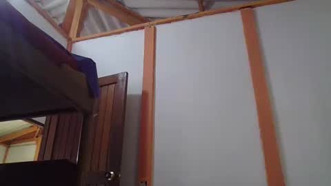 Snapshot of ulramon11 chatting on 24, 1, 2025 ulramon11 online show from 24, 1, 2025