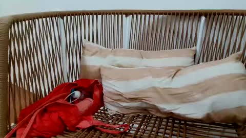 Snapshot of underground33 chatting on 16, 1, 2025 Under Huge cock with beautiful uncut foreskin online show from 16, 1, 2025