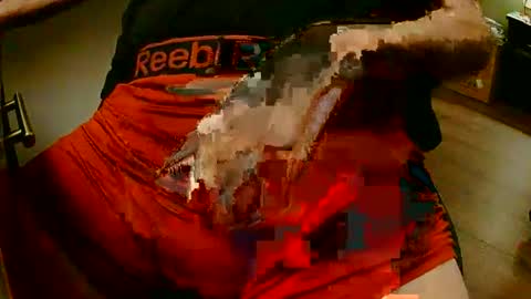 . online show from 9, 1, 2026