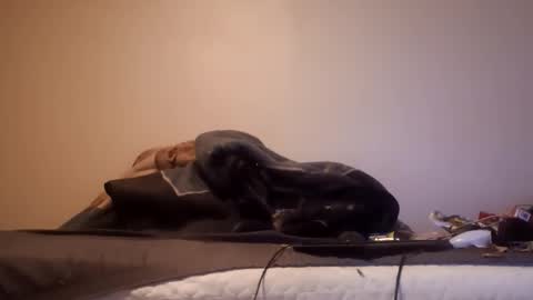 untoldregard123 online show from 13, 4, 2026