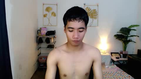 Bib online show from 18, 11, 2025