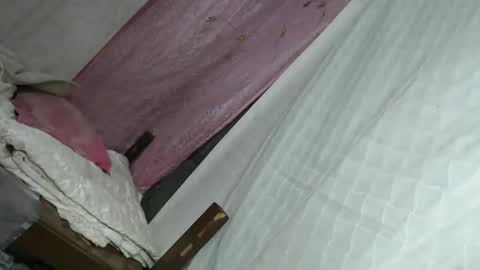 Ariana online show from 3, 4, 2026