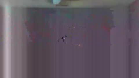 urls2025 online show from 23, 11, 2025