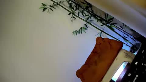 Snapshot of ursashafucker69 chatting on 3, 12, 2024 ursashafucker69 online show from 3, 12, 2024